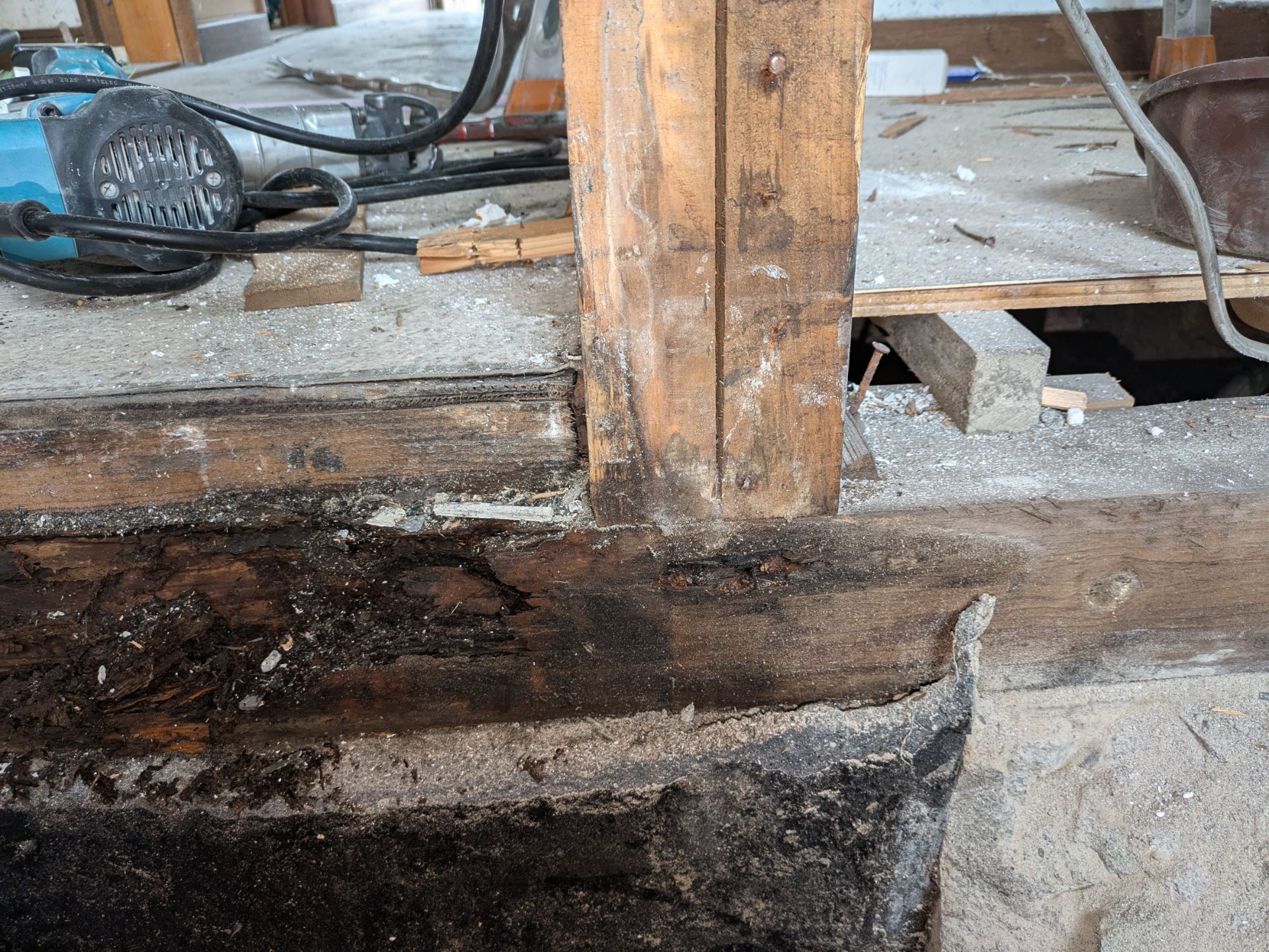 防蟻工事（白蟻消毒）の必要性！！